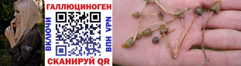 Купить закладки  Остров  Псилоцибиновые грибы Cubensis 